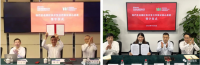 中國寶武，究竟儲備了多少鐵礦？